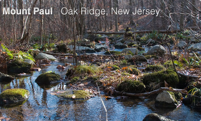 Mount Paul - Oak Ridge, NJ